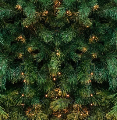 undecorated christmas tree