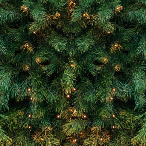 undecorated christmas tree