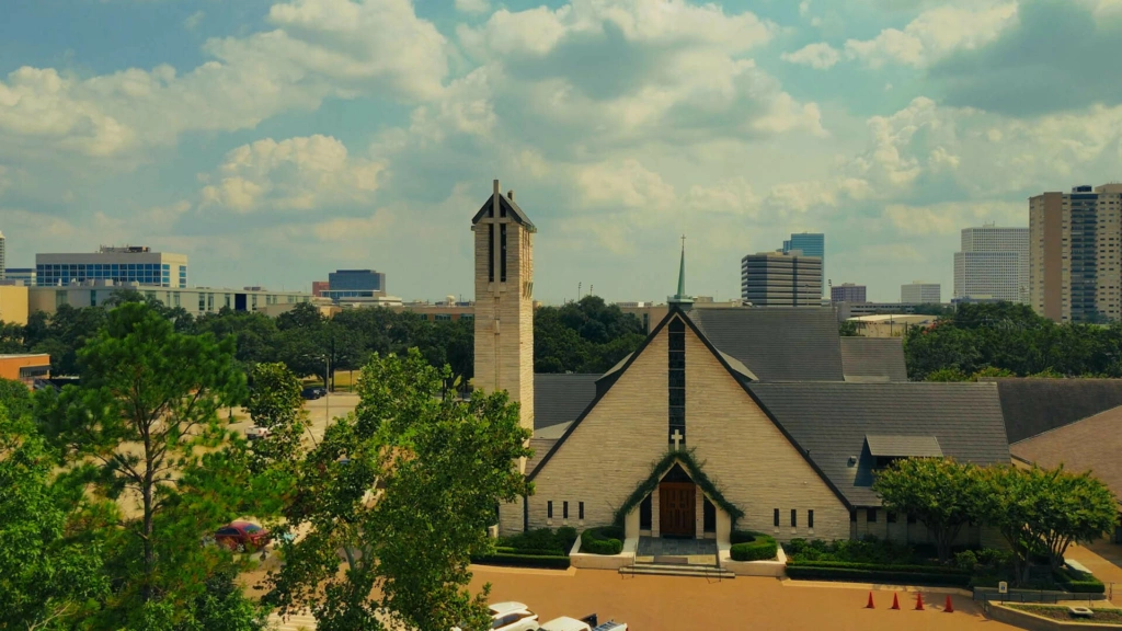 Vine fall 2024 cover