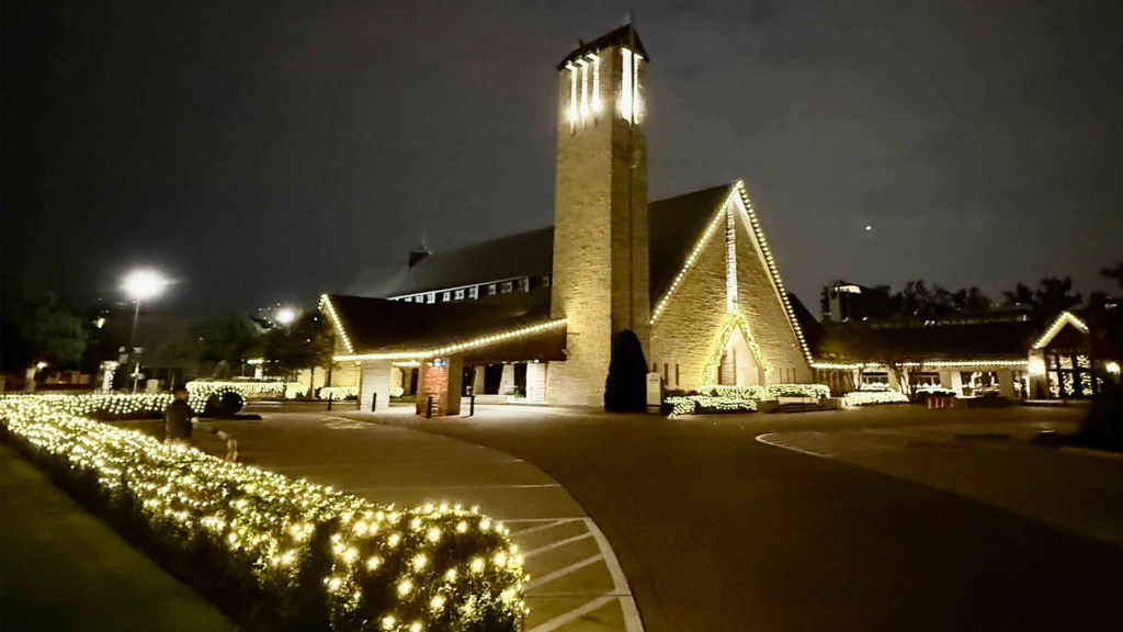 Christmas Lights for the City website header